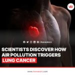 Lung cancer is caused by air pollution, scientists discover_awwaken