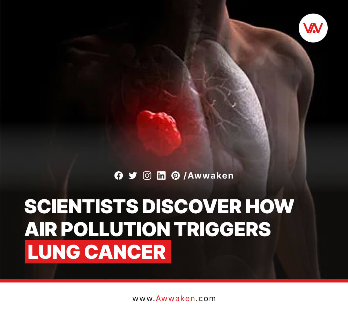 Lung cancer is caused by air pollution, scientists discover_awwaken