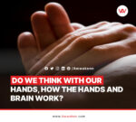 Can we think with our hands and how brain works? _awwaken.com
