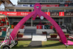 Third Pak-Ireland T20I to go pink to raise breast cancer awareness-awwaken.com