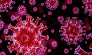 Covid threat to Pakistan - Coronavirus strain found in China: NCOC