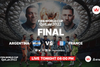 France and Argentina will decide the classic final (2022) based on small details-awwaken.com